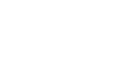 Korea Grand Sale